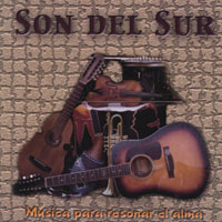 Son del Sur : Musica para resonar el alma