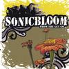 SONICBLOOM: From the Get-Go