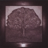 SONNY: The Spirit Of Elegy