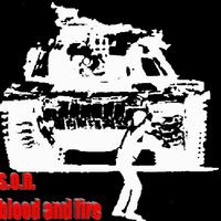 s.o.n. : blood and fire