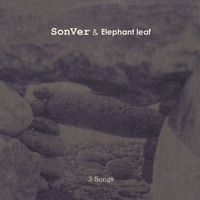 SonVer vs Elephant Leaf : 3 Songs