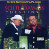 THE SOULDAWGS: Destiny