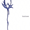 SOULFLOWER: SOULFLOWER