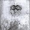 SOUL INSIDE: Reflections of a Bitter End