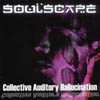 SOULSCAPE: Collective Auditory Hallucination