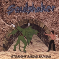 SOULSHAKER: Straight Ahead Human