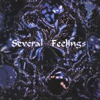 SOULSILENS: Several Feelings (LIMITED EDITION)