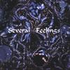 SOULSILENS: Several Feelings (LIMITED EDITION)