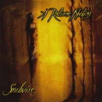 Soulwire : A Radiant Nothing