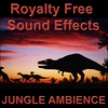 Sound Effects Royalty Free: Jungle Ambience, Dinosaurs, Monsters, and Animals