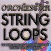 Sound Effects: String Loops and Samples