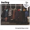THE SOUND OF BAILEY: The Way That Things Are Done
