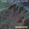 SPACECRAFT: Earthtime Tapestry