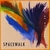SPACEWALK: figure it out