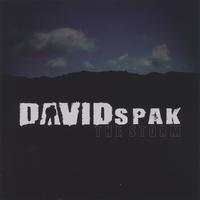 david spak : the storm