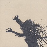 Kent Sparling : Evening Air, Freeway Birds, No Wind Birds