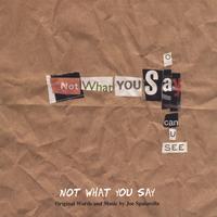 JOE SPATARELLA: Not What You Say