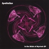 SPATIALIZE: In the Midst of Myriads