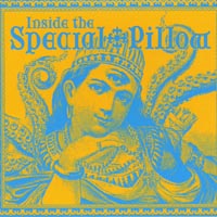 The Special Pillow : Inside the Special Pillow