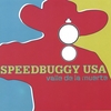 SPEEDBUGGY USA: Valle De La Muerte