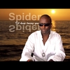 Spider: I