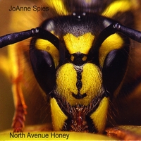 JoAnne Spies : North Avenue Honey
