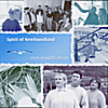 Spirit of Newfoundland: even seagulls dream