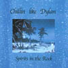 SPIRITS IN THE ROCK CHILLIN: Chillin like Dylan