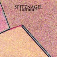 Spitznagel : Findings