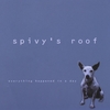SPIVY'S ROOF: Everything Happened In a Day