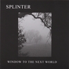SPLINTER: window to the next world