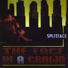 SPLITFACE: The Face in a Crowd