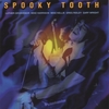 SPOOKY TOOTH: Live In Europe