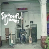 SPOONFUL JAMES: Leave that Door Open