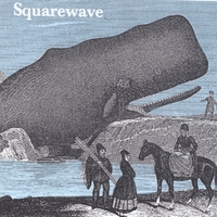 Squarewave : Dullhead