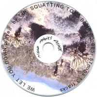 The Squatting Toad Band : We Let You Down