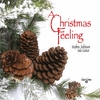 A CHRISTMAS FEELING: Stephen Robinson