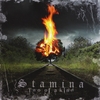 STAMINA: Two Of A Kind [+3]