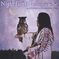 Stephen Standing Owl : Night Flight ll (Return of the Owl)