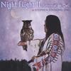 STEPHEN STANDING OWL: Night Flight ll (Return of the Owl)