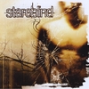 STAREBLIND: Something Left Unexplained