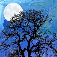 RUSSELL STARKE: Mild Blue Yonder