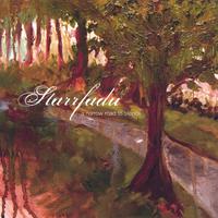 STARRFADU: A Narrow Road to Silence
