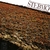 STEBMO: STEBMO