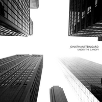 Jonathan Steingard : Under the Canopy