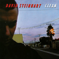 David Steinhart : Clean