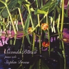 STEPHEN BROWN: Seconda Pratica
