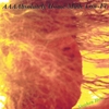 STEPHEN HESS: AAAAbsolutely Home- Made Low- Fi
