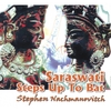 STEPHEN NACHMANOVITCH: Saraswati Steps Up To Bat