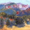 STEVE BARTA: Live At Home!